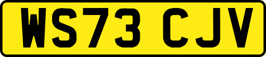 WS73CJV