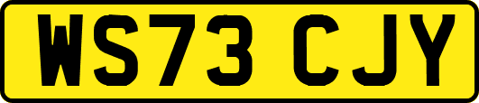 WS73CJY