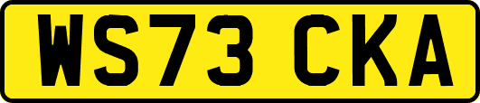 WS73CKA