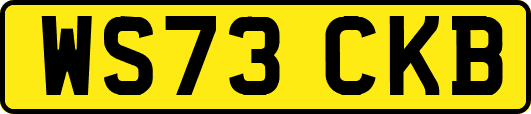WS73CKB