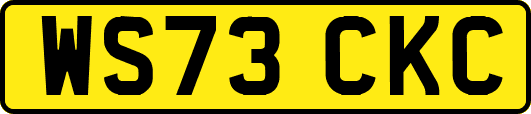 WS73CKC