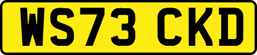 WS73CKD