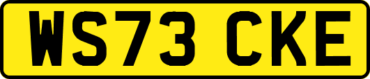 WS73CKE