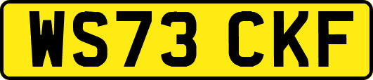 WS73CKF