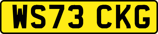 WS73CKG