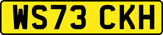 WS73CKH