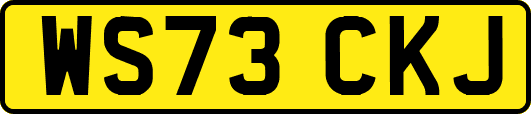 WS73CKJ