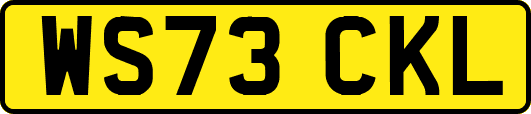 WS73CKL