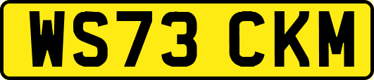 WS73CKM