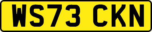 WS73CKN