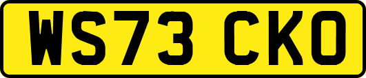 WS73CKO