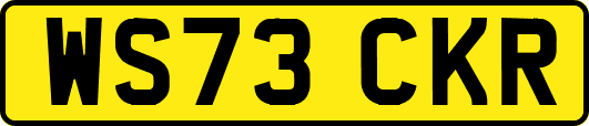 WS73CKR