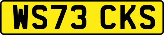 WS73CKS
