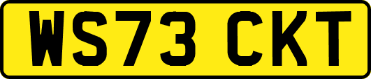 WS73CKT