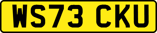 WS73CKU