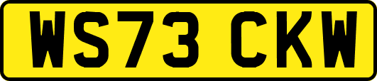 WS73CKW