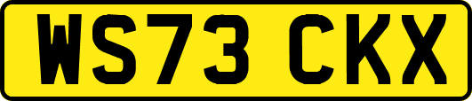 WS73CKX