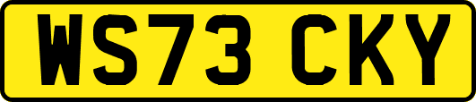 WS73CKY
