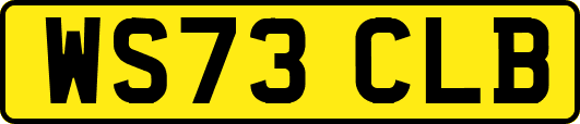 WS73CLB