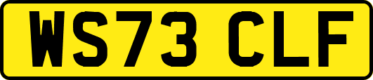 WS73CLF