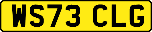 WS73CLG