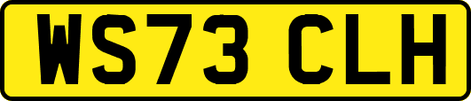 WS73CLH