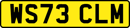 WS73CLM