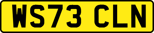 WS73CLN