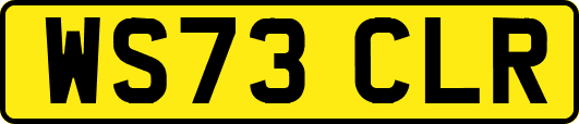 WS73CLR