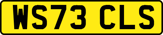 WS73CLS