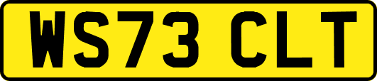 WS73CLT