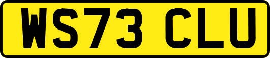 WS73CLU