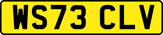 WS73CLV
