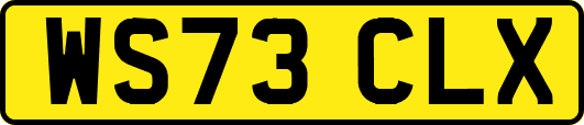 WS73CLX