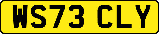 WS73CLY