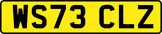 WS73CLZ