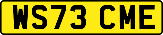 WS73CME