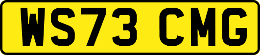WS73CMG