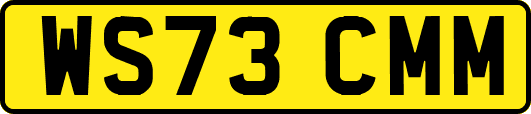 WS73CMM