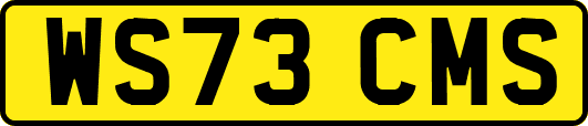 WS73CMS