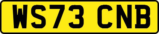 WS73CNB
