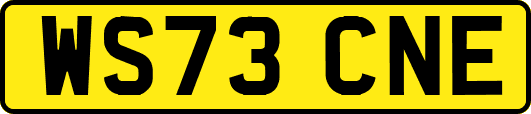 WS73CNE