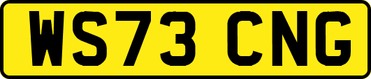 WS73CNG