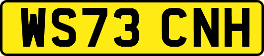WS73CNH