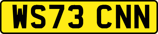 WS73CNN