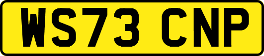 WS73CNP