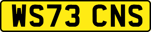 WS73CNS