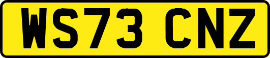 WS73CNZ