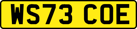 WS73COE