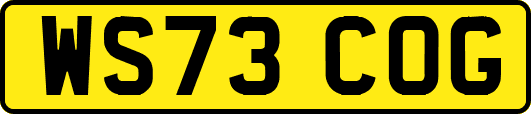WS73COG